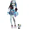 Кукла Monster High Монстер Хай Фрэнки Стейн с питомцем, фото 3