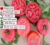 Семена томатов Пинк Стоун F1 "SAKATA" (1000 семян)
