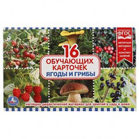 Карточки в папке "Ягоды и грибы", 16 карточек Умка, размер 200x120x10 мм