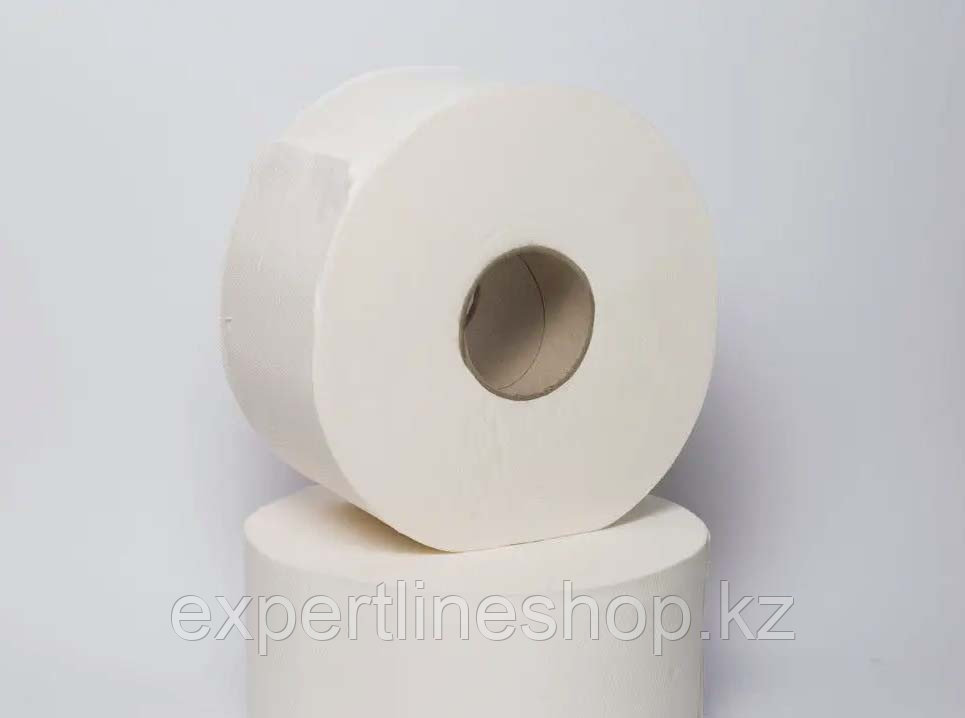Туалетная бумага Джамбо в рулоне 105 метров - фото 1 - id-p104849992