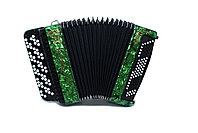 Баян ТУЛА БН-37 ученический двухголосный «Тула-209» 92/55х100-II, зеленый