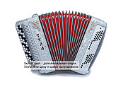 БАЯН ТУЛА БН-39 УЧЕНИЧЕСКИЙ ДВУХГОЛОСНЫЙ "ТУЛА-210" 55Х100-II ч