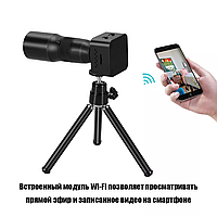 Қыздардың ең ашық порно видеолары