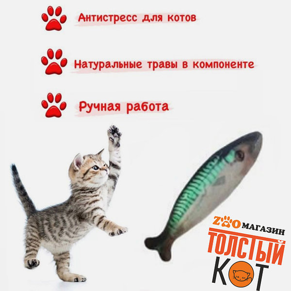 кошки в кошках - Купить товары для охоты и рыбалки 🎣 во всех