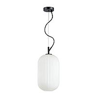 Подвесной светильник Odeon Light Pendant Roofi 4751/1