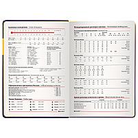 Ежедневник недатированный А5 (138х213 мм), BRAUBERG "AIM", под кожу, 136 л., фиолетовый, фото 7