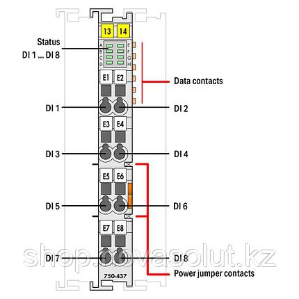 8-канальный цифровой вход; 24 В постоянного тока; 0,2 мс; Переключение по нижнему краю WAGO 750-437, фото 2