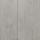 Ламинат Kronopol Flooring MILO 3750 Дуб Клеопатра 32класс/8мм, фаска, фото 2