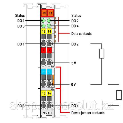4-канальный цифровой выход; 5 В постоянного тока; 20 мА WAGO 750-519, фото 2
