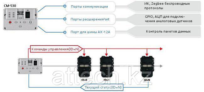 Человекоподобный робот ROBOTIS BIOLOID Premium Kit - фото 4 - id-p104966386