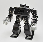 Человекоподобный робот RQ-HUNO