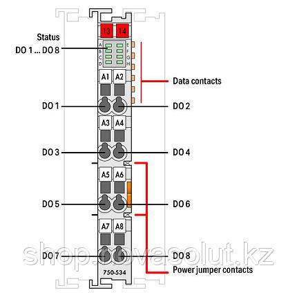 8-канальный цифровой выход; 12 В постоянного тока; 1 А WAGO 750-534, фото 2