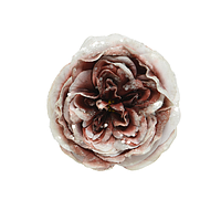Роза пластик 15см пурпурный на клипсе тип 1 6292491