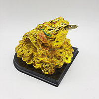 Трехпалая жаба – символ удержания богатства, большая