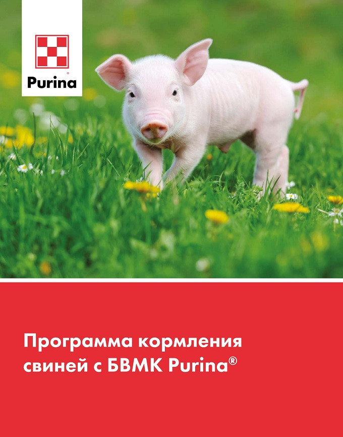 БВМК 20% "Стартер" для свиней Purina, 25 кг - фото 1 - id-p105050240