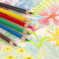 Карандаши цветные ПИФАГОР "ЗЕБРА", 6 цветов, утолщенные, пластиковые, фото 6