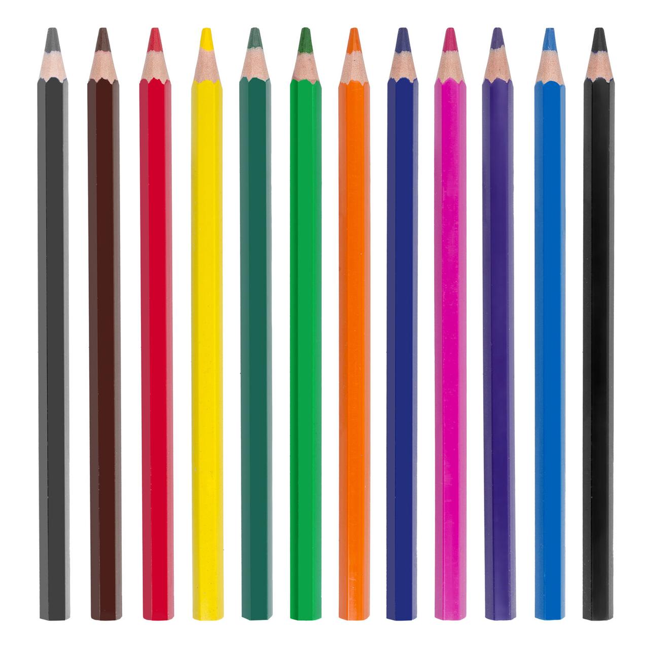 Карандаши цветные ПИФАГОР "ЗЕБРА", 12 цветов, утолщенные, пластиковые - фото 5 - id-p105051452