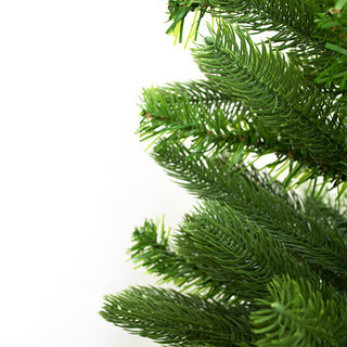 Жас жапон порно онлайн