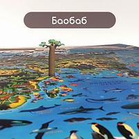 Карта мира "Животный и растительный мир" 101х69 см, интерактивная, европодвес, ЮНЛАНДИЯ, фото 6