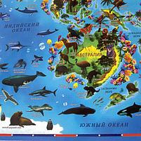 Карта мира "Животный и растительный мир" 101х69 см, интерактивная, европодвес, ЮНЛАНДИЯ, фото 8