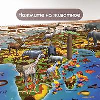 Карта мира "Животный и растительный мир" 101х69 см, интерактивная, европодвес, ЮНЛАНДИЯ, фото 9