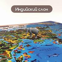 Карта мира "Животный и растительный мир" 101х69 см, интерактивная, европодвес, ЮНЛАНДИЯ, фото 10