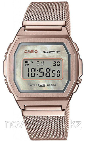 Наручные часы Casio A1000MCG-9EF