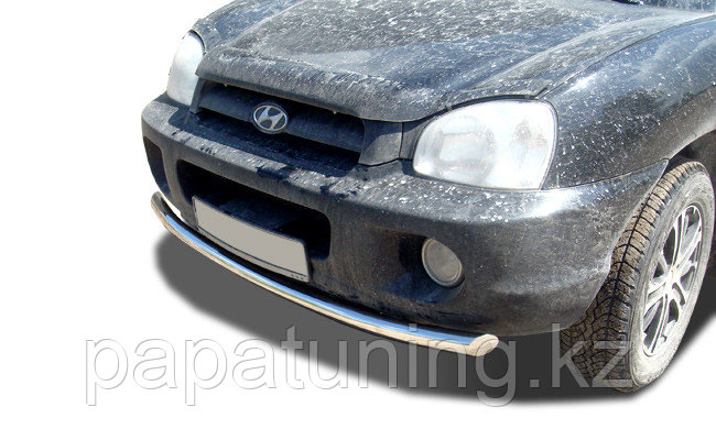 Защита переднего бампера (радиус) d53 ПапаТюнинг для Hyundai Santa Fe Classic 2000-2012