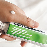 Успокаивающий крем для восстановления кожи с центеллой Purito Centella Green Level Recovery Cream, фото 2