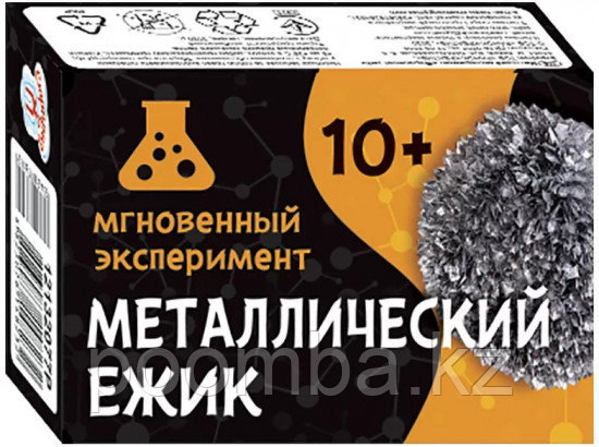 Научная игра: Металлический ежик Ranok