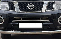 Защита радиатора d16 ПапаТюнинг для Nissan Pathfinder 2010-2014