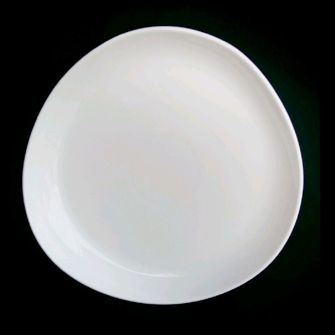 Тарелка обеденная 25 см Royal White TU1992-1 / TUDOR - фото 1 - id-p105154426
