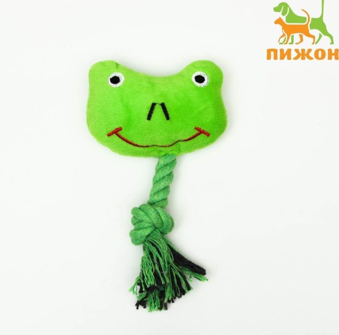 Игрушка мягкая для собак Лягушка с канатом - фото 1 - id-p105193472