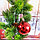 Новогодние елочные шарики глянцевые красные HM-10 6 шт 5 см, фото 5