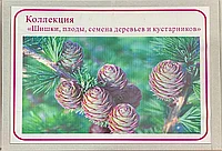 Сексуалдық жұп бейне фильмдер қыздар Хелен мен ұлдардың жалаңаш суреттері