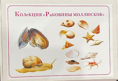 Үлкен мүшесі бар секс әрең келеді