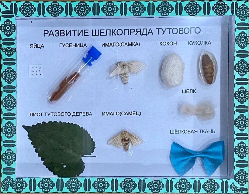 Коломнадағы интимдік жарнамалар