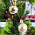 Новогодние елочные шарики глянцевые и матовые золотые HM-2 12 шт 3 см, фото 5