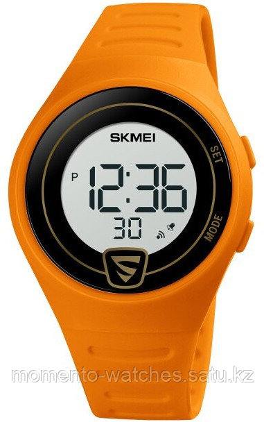 Часы SKMEI 1798OGWT