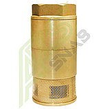 ᐈ Клапан обратный с двойным затвором DN50, фото 3