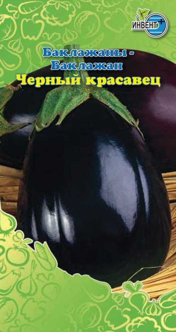 Баклажан Чёрный Красавец