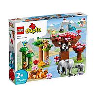 Lego Duplo Дикие животные Азии 10974