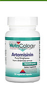 Артемизинин Artemisinin 90 капсул. Для дополнительного лечения онкологии.Nutricology