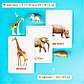Развивающий набор фигурок для детей Дикие животные с карточками, по методике Домана, фото 3