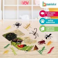 Набор животных с обучающими карточками В мире насекомых
