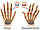 Перчатки от артрита. Компрессионные. Copper Hands, Алматы, фото 4