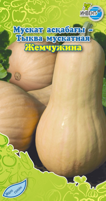 Тыква мускатная Жемчужина
