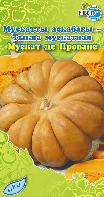 Тыква Мускат де Прованс