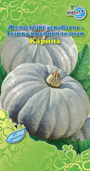 Тыква Карина