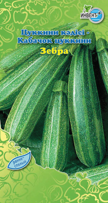 Кабачок Зебра цуккини